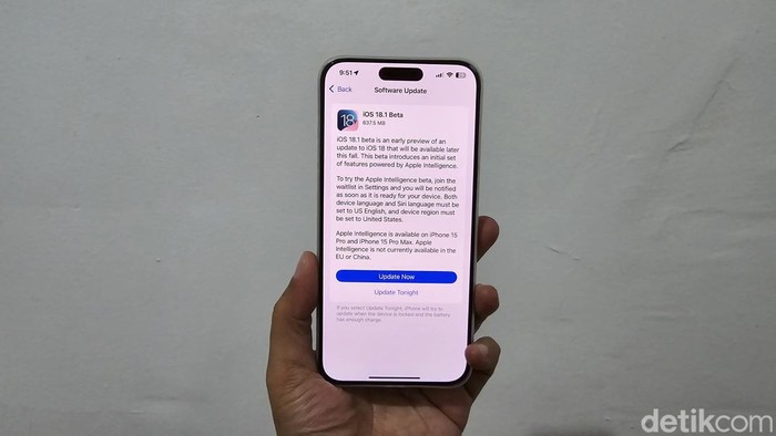 iOS 18.1 developer beta