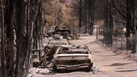 Sejumlah mobil hangus terbakar akibat terdampak kebakaran hutan yang meluas.  