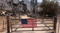 Menurut Departemen Kehutanan dan Perlindungan Kebakaran California (Cal Fire) saat ini api telah membakar lebih dari 353.194 hektar.  