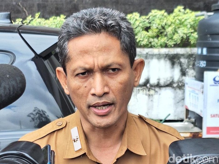 Kepala Dinas Lingkungan Hidup dan Kehutanan (LHK) NTB Julmansyah. (Foto: Nathea Citra/detikBali)