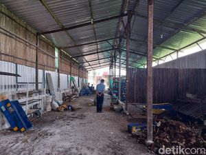 Peternakan Maggot di Sedayu Masih Bau, Warga Minta Ditutup Permanen
