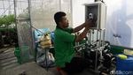 Melihat Kebun Hidroponik di Atap Pasar Mayestik