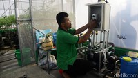 Air dialirkan melalui selang dan dilakukan penyiraman secara otomatis (drip/tetes) untuk menjaga pertumbuhan tanaman cabai.