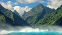 Mengenal Fafaru, Kuliner Berbau Menyengat tapi Enak Khas dari Tahiti