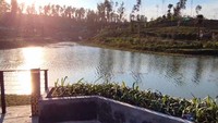Pada ujung embung terlihat kawasan perbukitan hijau di balik bilah sayap garuda pada Istana Garuda.  