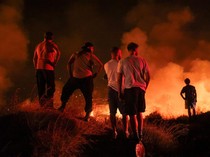 Penampakan Kobaran Api Lahap Hutan di Yunani