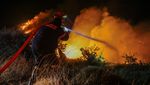 Penampakan Kobaran Api Lahap Hutan di Yunani