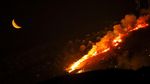 Penampakan Kobaran Api Lahap Hutan di Yunani
