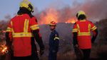 Penampakan Kobaran Api Lahap Hutan di Yunani