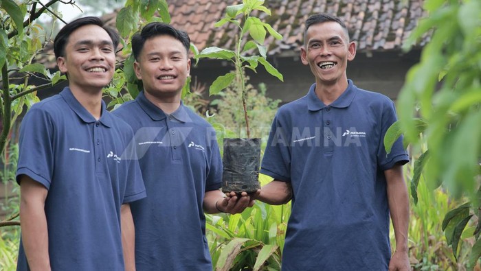 Pertamina tanam 6 juta pohon
