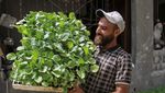 Petani Gaza Tanam Sayur untuk Atasi Krisis Pangan