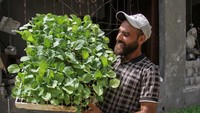 Aksi menanam sayur ini dilakukan untuk mengatasi kekurangan pangan di Gaza akibat perang.  