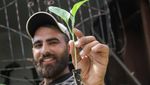 Petani Gaza Tanam Sayur untuk Atasi Krisis Pangan