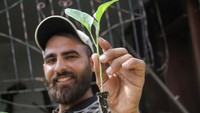 Petani Palestina Youssef Abu Rabie berpose dengan bibit tanaman di ladang yang ditanami kembali untuk mengatasi kekurangan pangan di Beit Lahia, Jalur Gaza.  