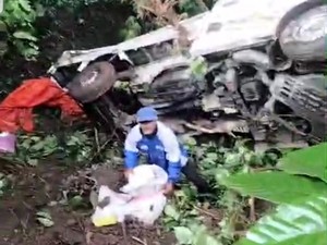 Pikap Muat Beras Terjun ke Jurang Sedalam 50 Meter di Gumitir Jember