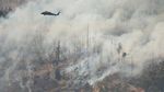 Puluhan Helikopter Wara-wiri Padamkan Kebakaran Hutan di California