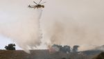 Puluhan Helikopter Wara-wiri Padamkan Kebakaran Hutan di California