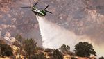 Puluhan Helikopter Wara-wiri Padamkan Kebakaran Hutan di California