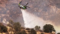 Ribuan petugas pemadam kebakaran berjuang melawan kebakaran hutan yang meluas dengan cepat. (REUTERS/David Swanson)  