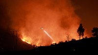 Salah satu kebakaran terbesar yang disebut Park Fire saat ini berlangsung di California, Amerika Serikat sejak pekan lalu. (REUTERS/David Swanson)  