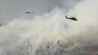 Selain itu puluhan helikopter juga dikerahkan dalam upaya pemadaman. (REUTERS/Fred Greaves)  