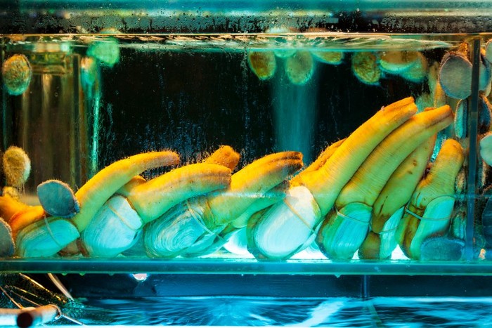5 Seafood yang Aneh Bentuknya Tetapi Populer di Restoran Mewah
