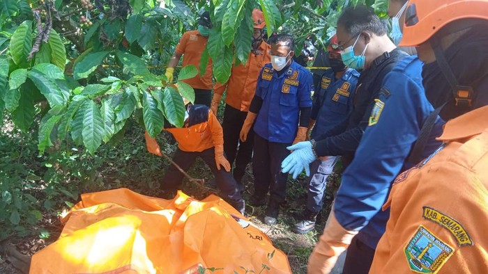 Sesosok pria tanpa identitas ditemukan pemetik kopi di sebuah kebun milik PTPN 1 di Bawen, Kabupaten Semarang, Selasa (30/7/2024).