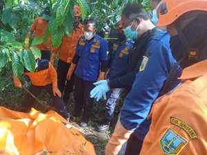 Pria Tanpa Identitas Ditemukan Meninggal di Kebun Kopi Bawen, Ini Ciri-cirinya
