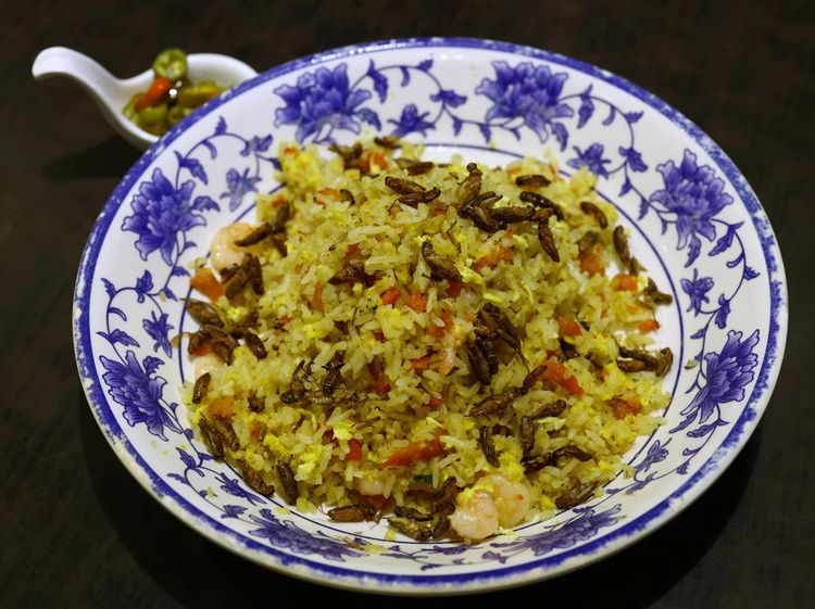 Singapura Izinkan Konsumsi Serangga, Restoran Ini Sajikan Nasi Goreng Jangkrik