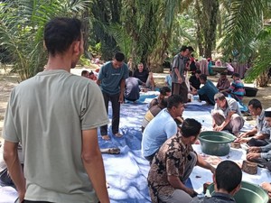Warga Syukuran Potong Sapi Jelang Peresmian 2 Jembatan oleh Pj Gubernur