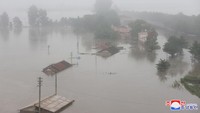 Laporan media pemerintah Korea Utara (Korut) menyebut lebih dari 4.000 rumah di negara terisolasi itu terendam banjir akibat hujan lebat yang terus mengguyur beberapa waktu terakhir.   