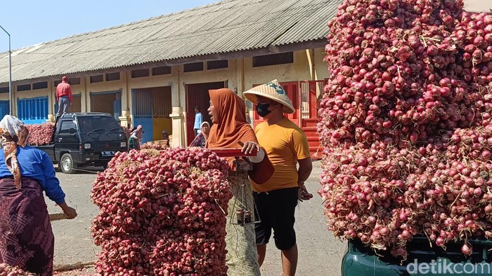 bawang merah di Probolinggo turun drastis dampak panen raya dan stok melimpah