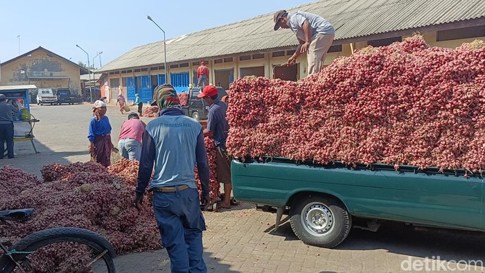 bawang merah di Probolinggo turun drastis dampak panen raya dan stok melimpah