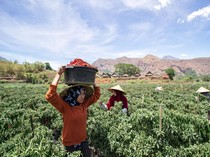 Jurus BRI Jaga Rasio Kredit Bermasalah UMKM hingga di Level 3%