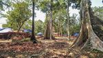 Candi Koto Mahligai Muara Jambi Dipugar