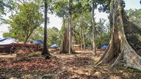 Pemugaran candi ditargetkan rampung pada Oktober 2024.