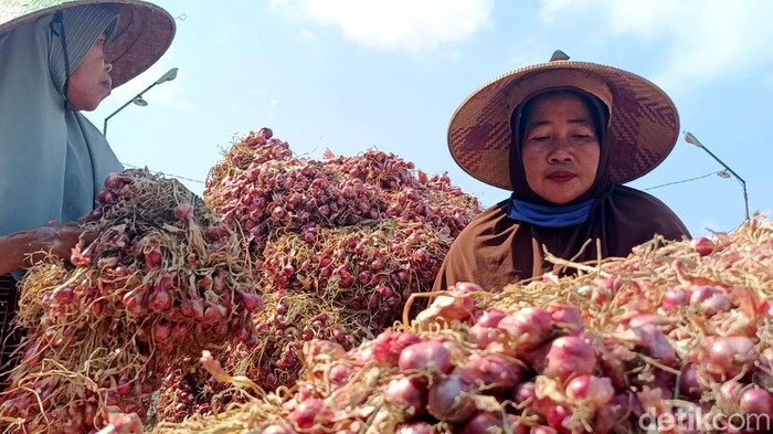 Harga Bawang Merah di Probolinggo Turun
