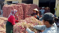 Meski harga sudah turun dan murah. Para pedangan di Pasar Bawang Dringu mengeluh masih sepi pembeli.