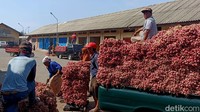 Salah satunya di Pasar Bawang, Kecamatan Dringu, Kabupaten Probolinggo. Saat ini harga bawang merah berada dikisaran Rp 9 ribu perkilogram dan bawang merah super Rp20 ribu perkilogram.