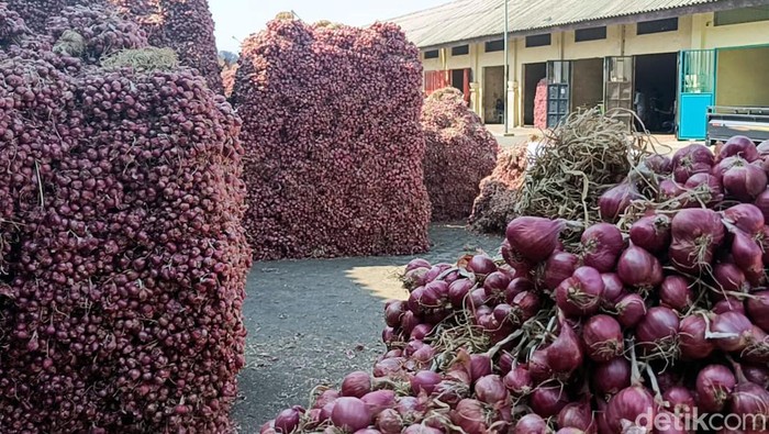 Harga Bawang Merah di Probolinggo Turun