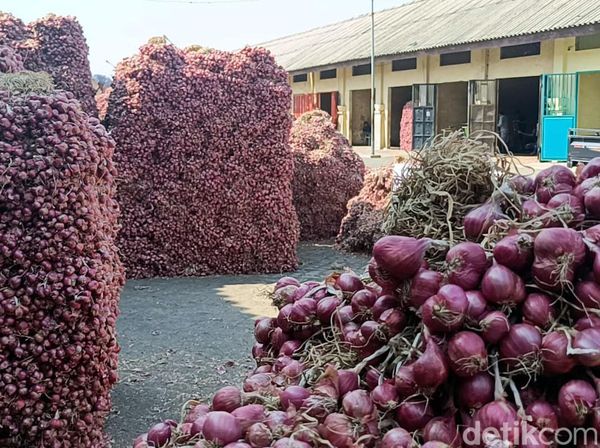Harga Bawang Merah di Probolinggo Turun