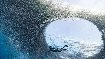 Portal Bawah Air Oleh Benjamin Yavar Foto: International Photography Awards