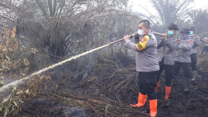 Kapolres Dumai AKBP Dhovan saat pemadaman kebakaran hutan dan lahan. (Foto: Dok Polres Dumai)