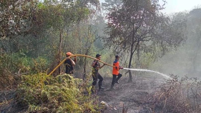 Karhutla di Muara Enim meluas menjadi 8 hektare.