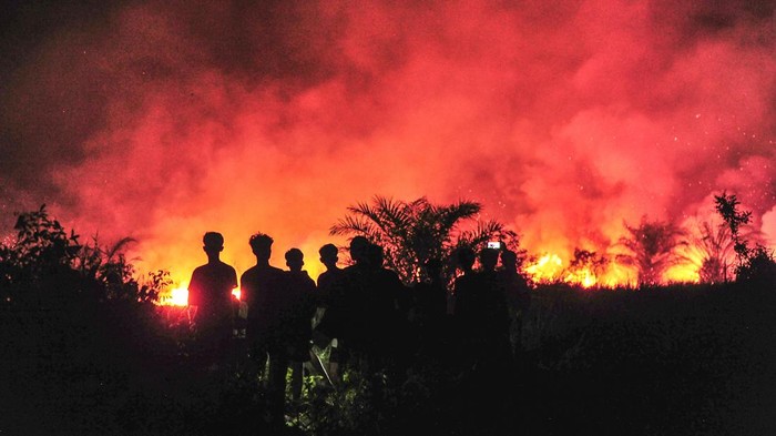 Warga menyaksikan kebakaran hutan dan lahan (karhutla) di Tangkit, Muaro Jambi, Jambi, Selasa (30/7/2024). Warga setempat menyebutkan, sekitar lima hektare lahan di daerah itu terbakar sejak Selasa (30/7/2024) sore. ANTARA FOTO/Wahdi Septiawan/rwa.
