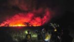 5 Hektar Lahan di Muaro Jambi Terbakar