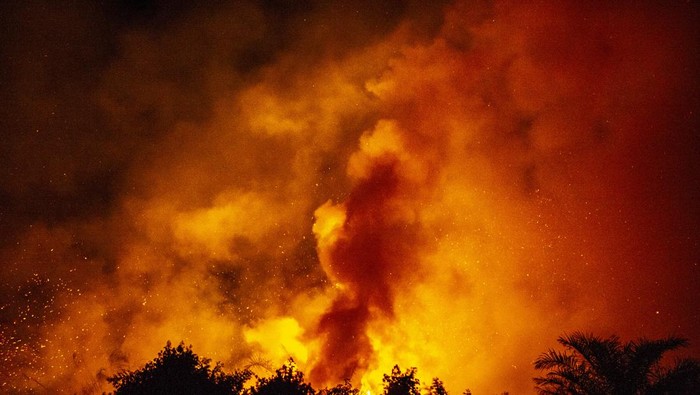 Warga menyaksikan kebakaran hutan dan lahan (karhutla) di Tangkit, Muaro Jambi, Jambi, Selasa (30/7/2024). Warga setempat menyebutkan, sekitar lima hektare lahan di daerah itu terbakar sejak Selasa (30/7/2024) sore. ANTARA FOTO/Wahdi Septiawan/rwa.