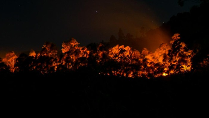 Api membakar hutan dan lahan (karhutla) lereng gunung Sipiso-piso di Merek, Karo, Sumatera Utara, Kamis (18/7/2024) malam. Menurut data Badan Penanggulangan Bencana Daerah (BPBD) Karo, api yang membakar sekitar 20 hektare hutan dan lahan di lereng gunung tersebut berasal dari Dusun Simpang Bage dan Nagori Sinar Naga Mariah, Kabupaten Simalungun yang selanjutnya merambat dengan cepat ke wilayah Gunung Sipiso-piso, sementara hingga Jumat (19/7) dini hari petugas masih mengupayakan pemadaman. ANTARA FOTO/Fransisco Carolio/aww.
