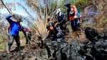 Musim Kemarau Tiba, Karhutla Membara