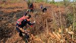 Musim Kemarau Tiba, Karhutla Membara
